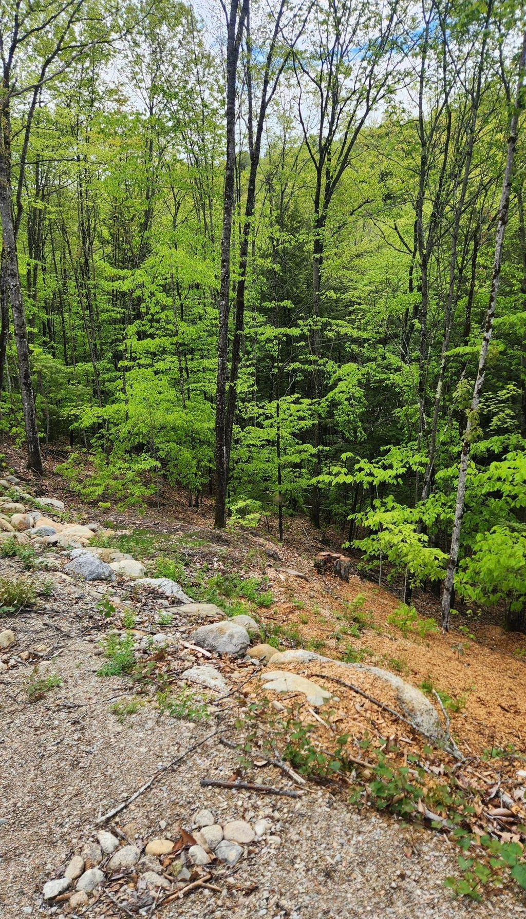 Photo of Moulton Road, Freedom, NH 03836 (MLS # 5074643)