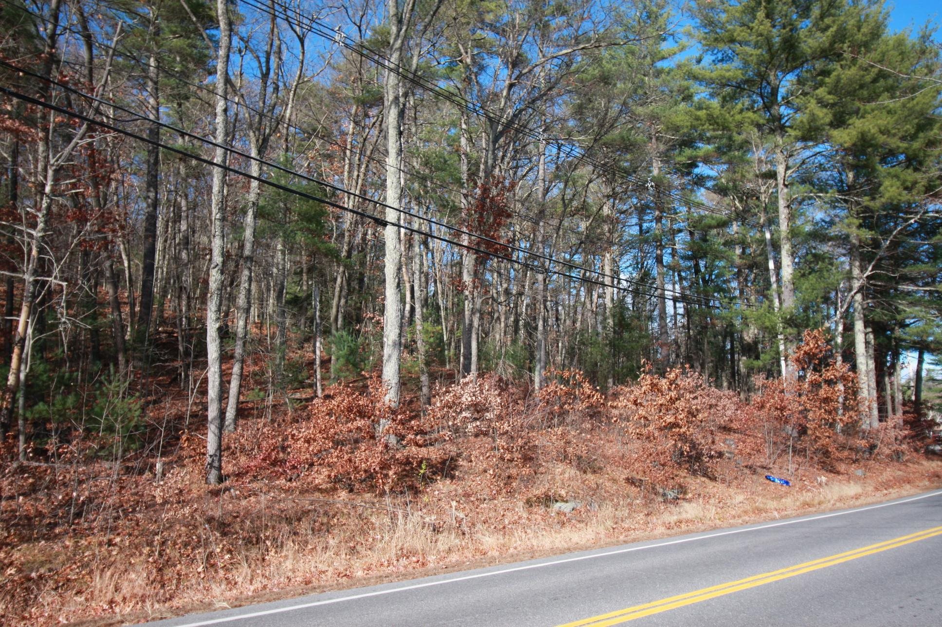 00 Mammoth Road