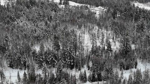 00 Wheelock Road Sutton VT 05867