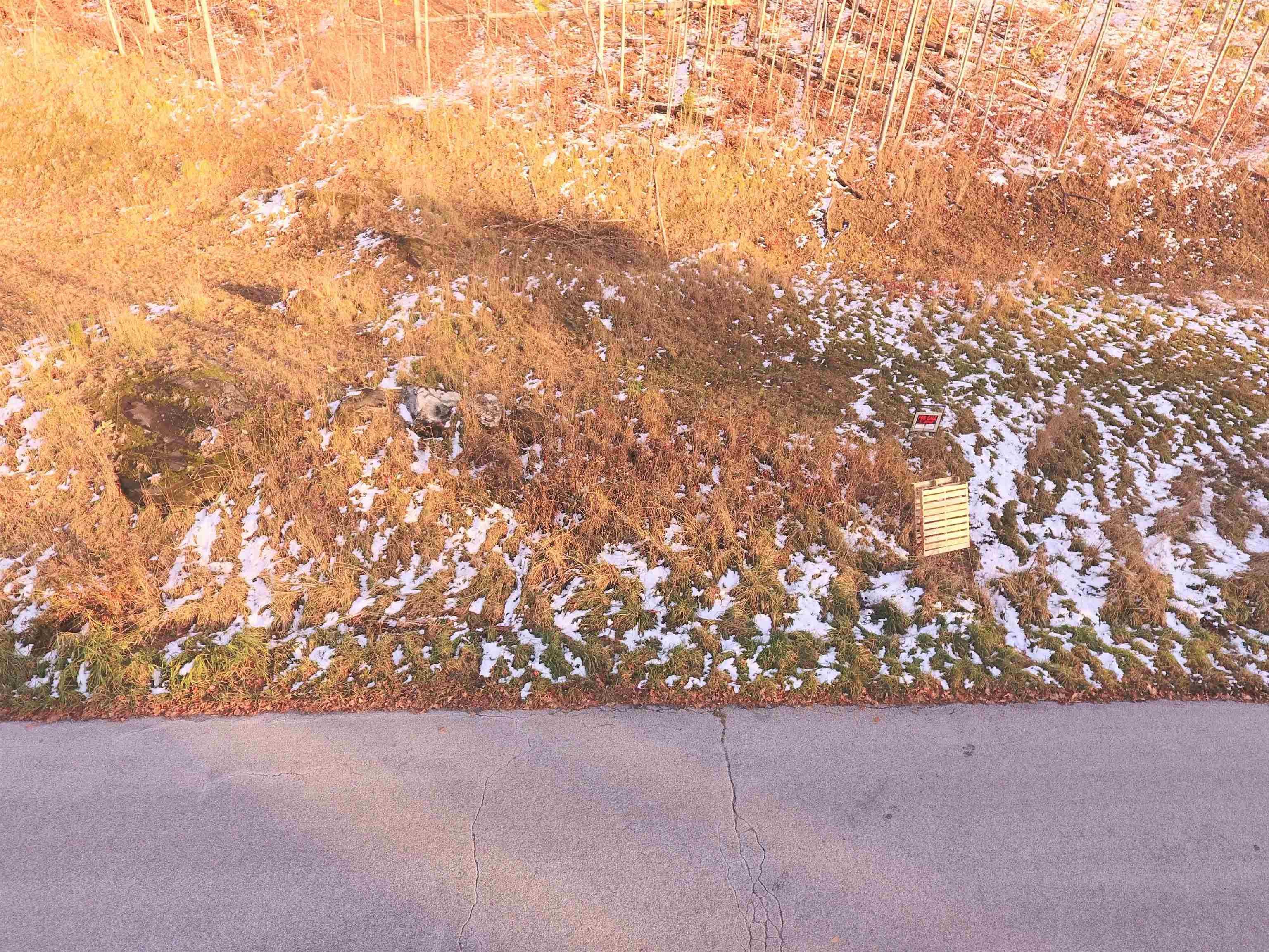 Lot # 10 Maplewood Avenue Lot # 10