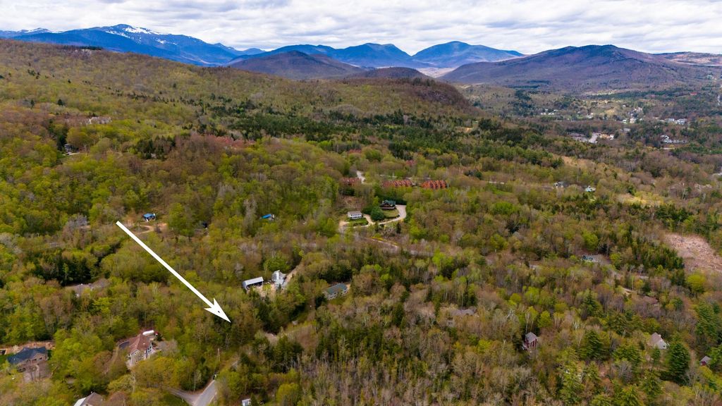 Photo of 00 Ellis Ridge Road #B6-D, Bartlett, NH 03838 (MLS # 5081468)