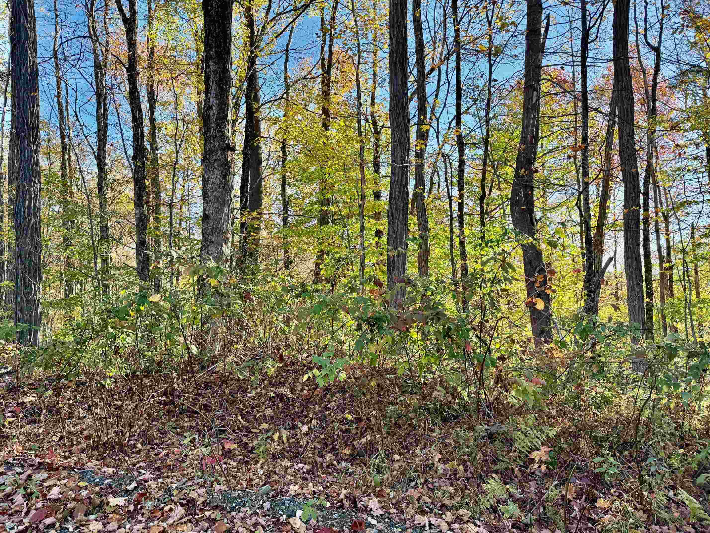 0 Townshend Dam Road