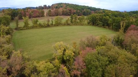 Stateline Road Shaftsbury VT 05262