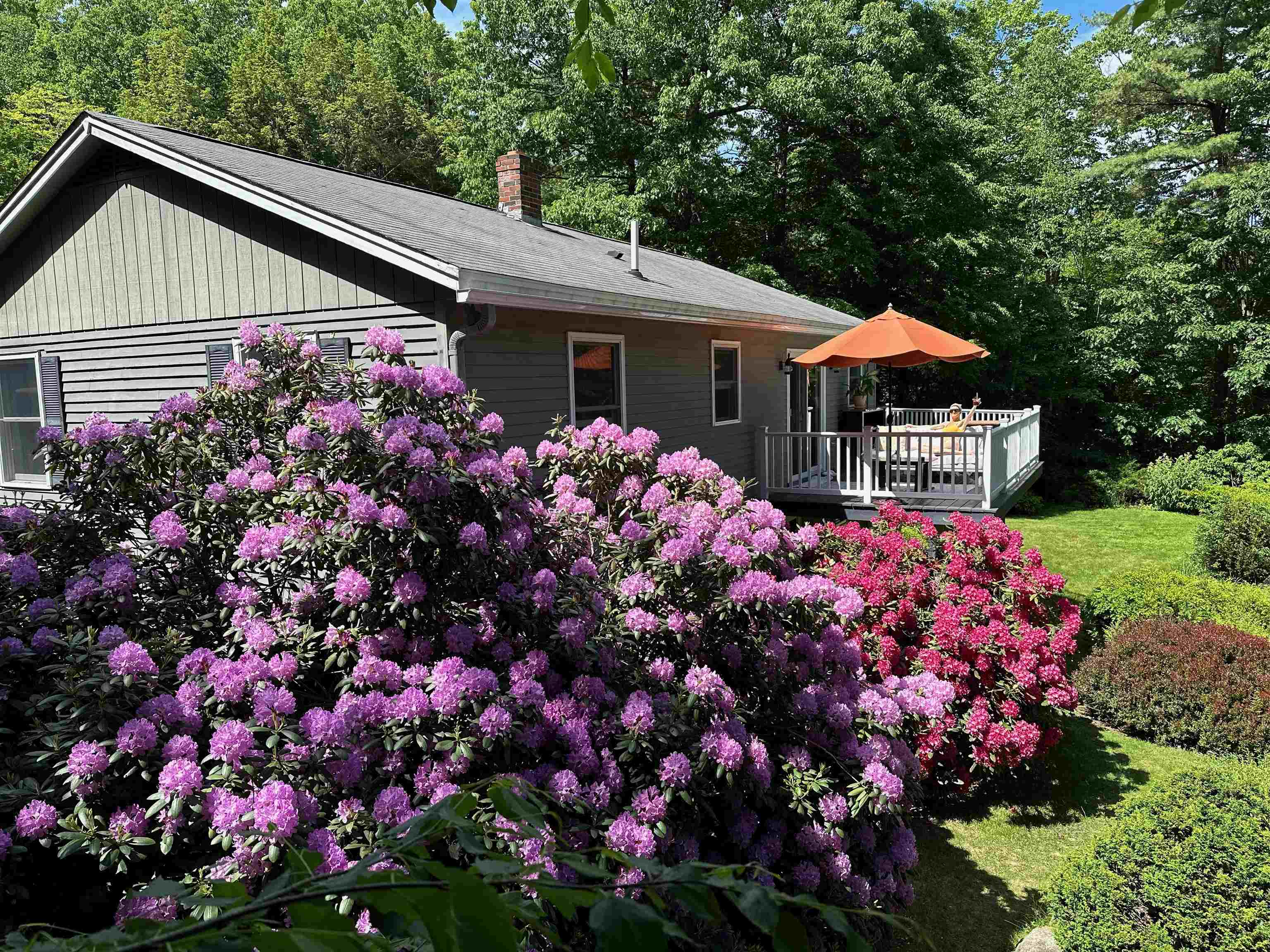 54 Forrest Drive