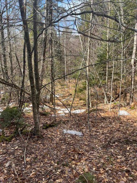 East Washington Road Lots 77-6 & 77-7 Washington NH 03280