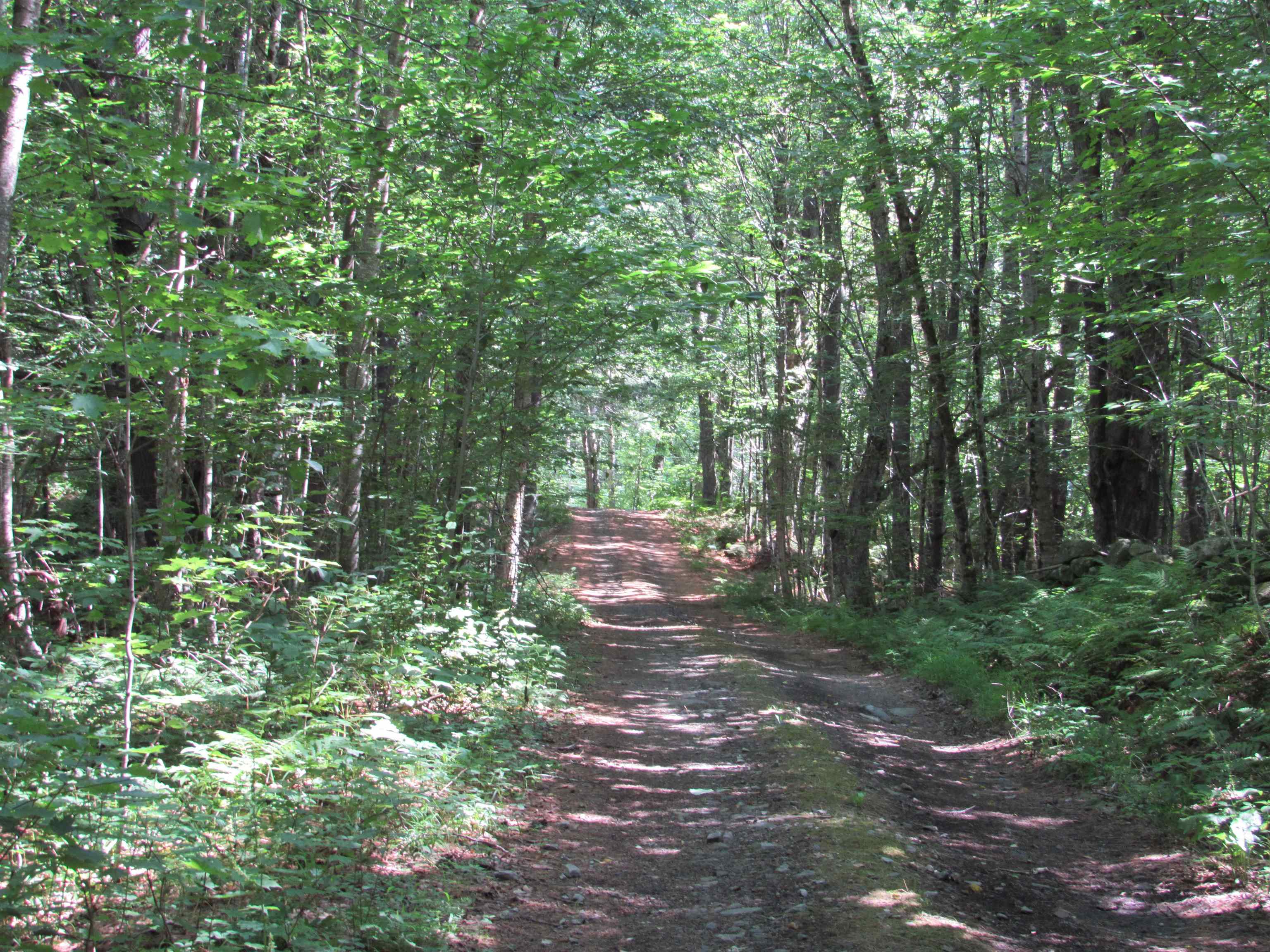 oos-65-13 Partridge Lane