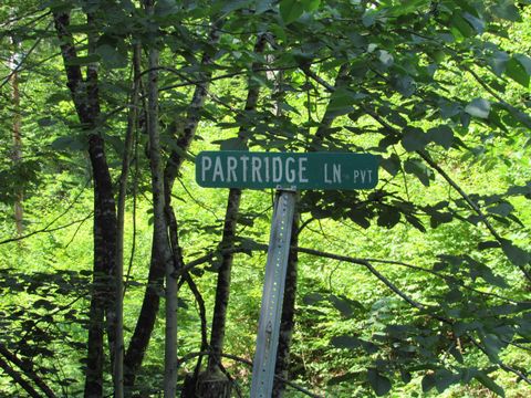 oos-65-13 Partridge Lane Jamaica VT 05343