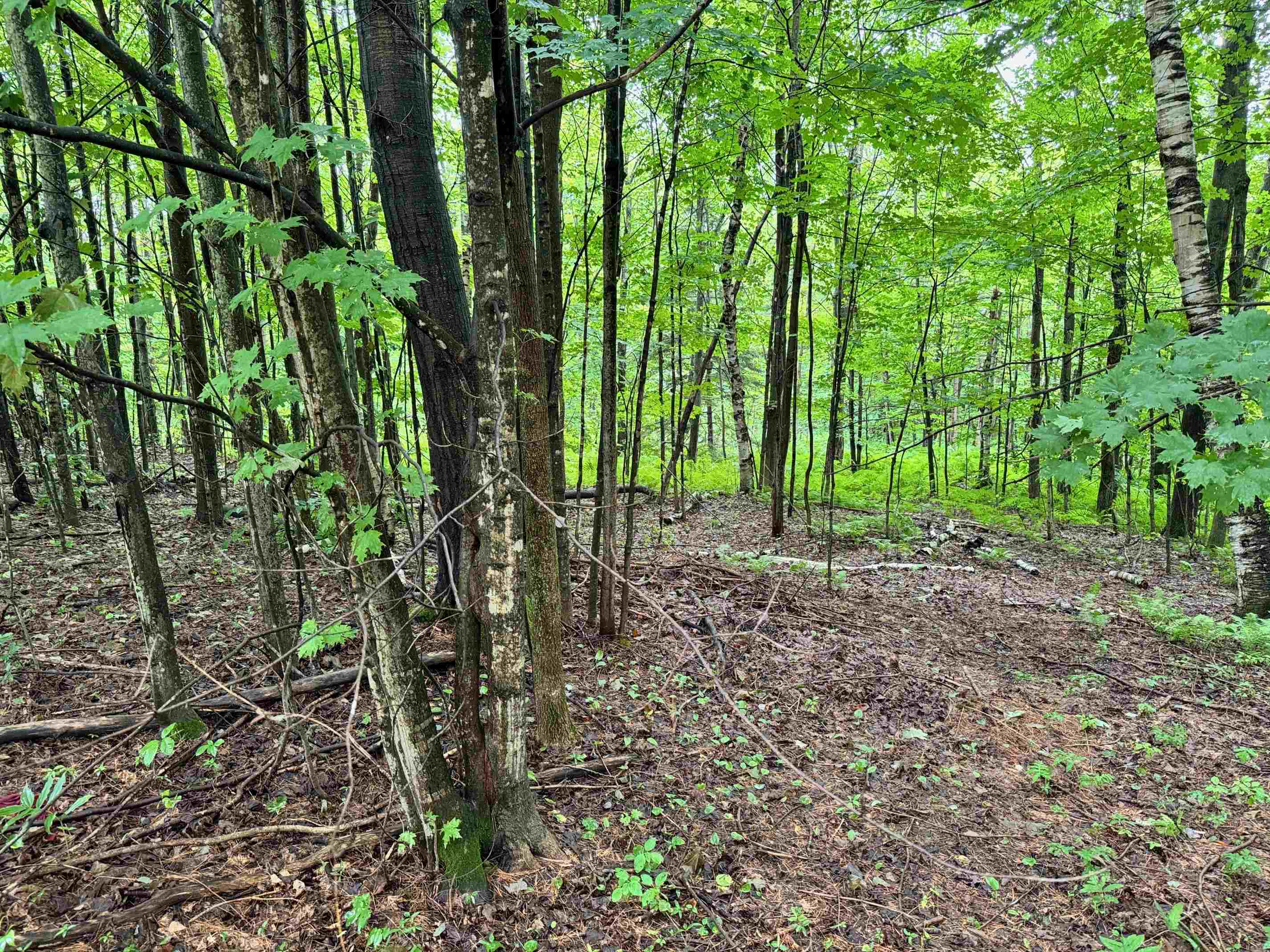 00 Morin Drive Lot 6R