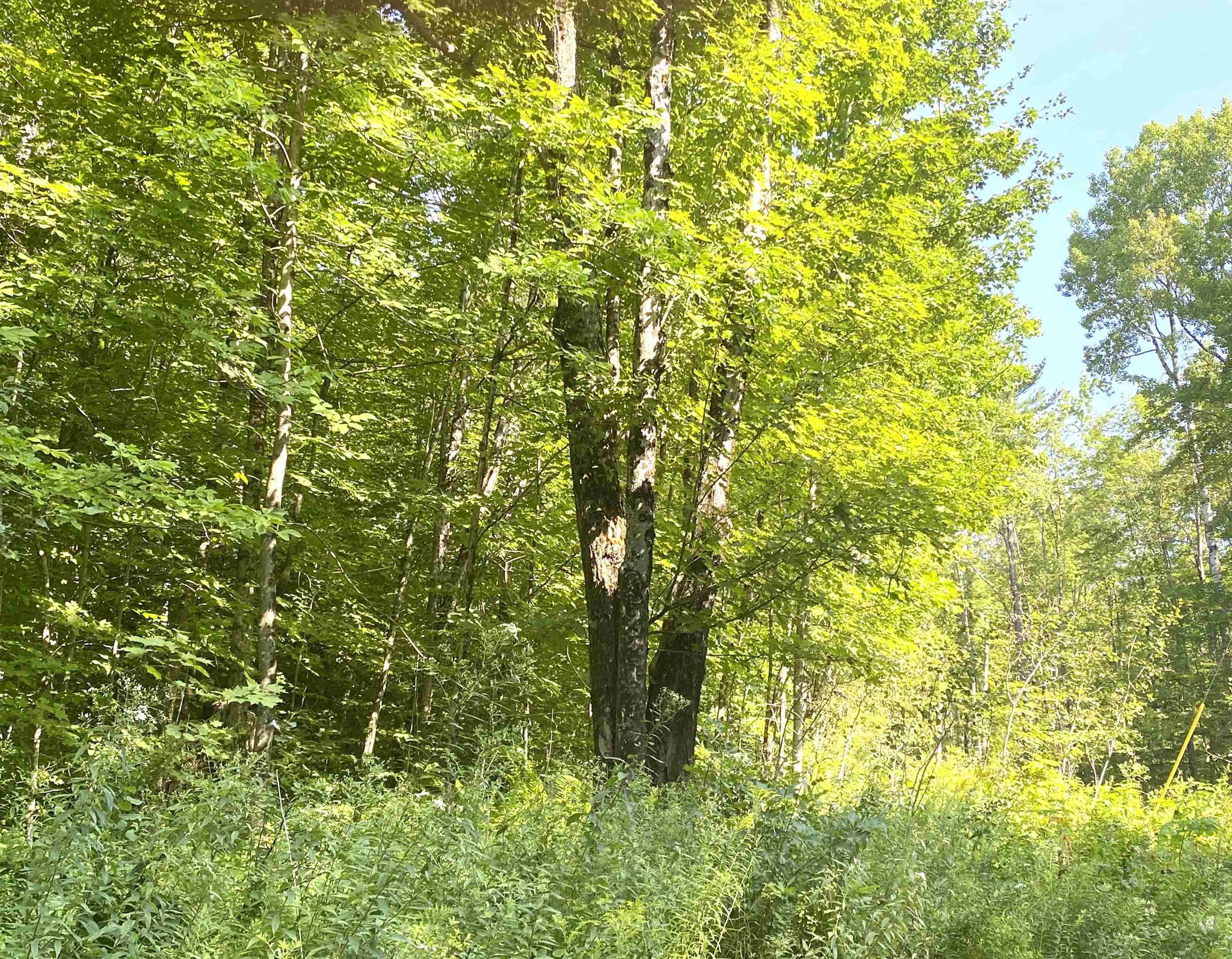 00 North Branch Road