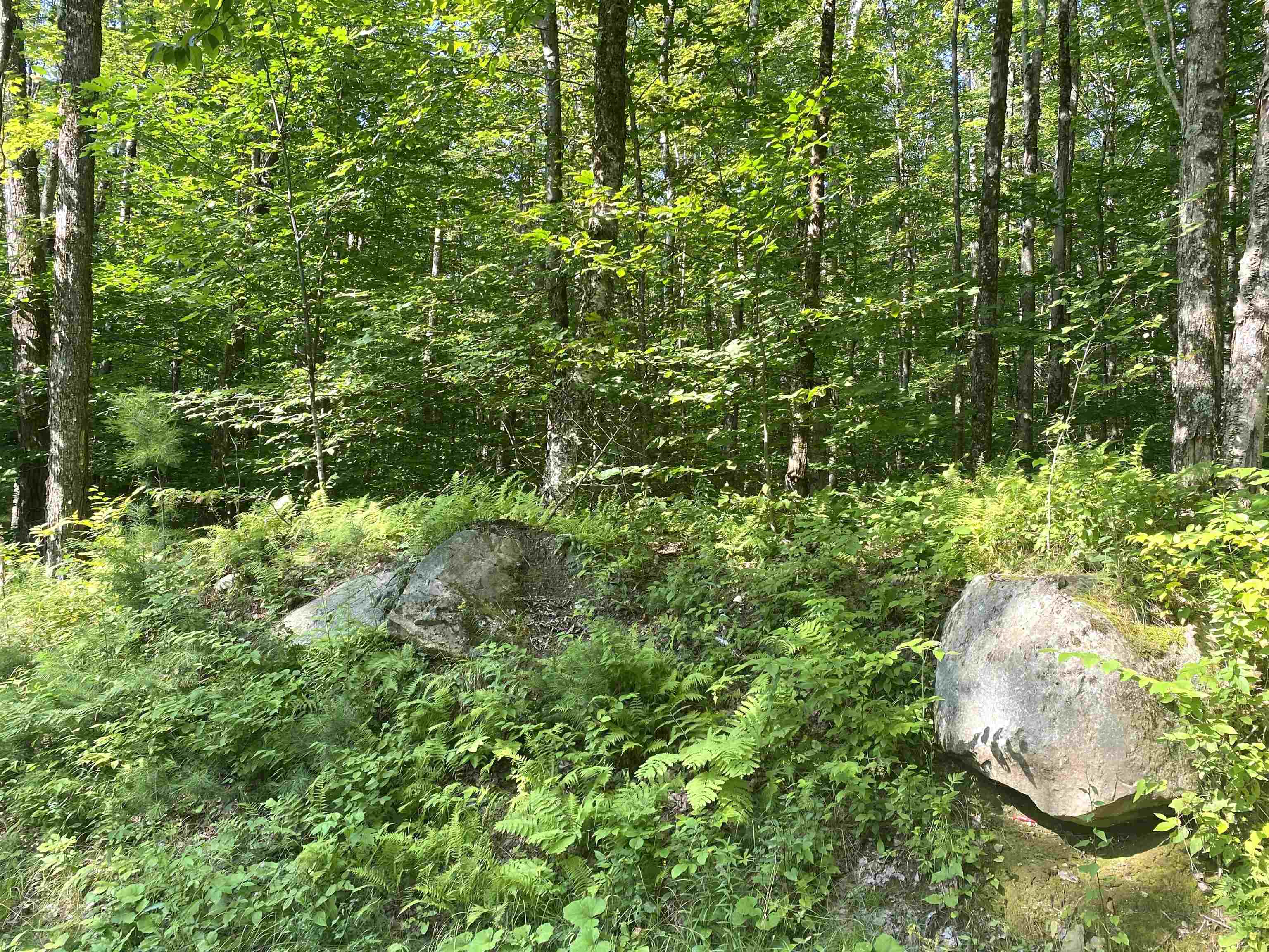 00 North Branch Road