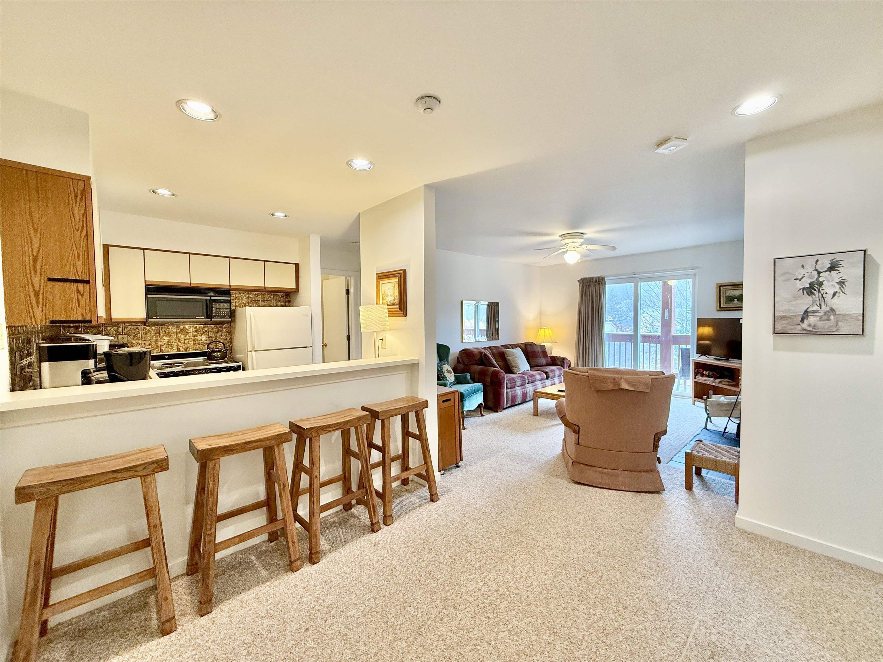 15D Mountain Village 234