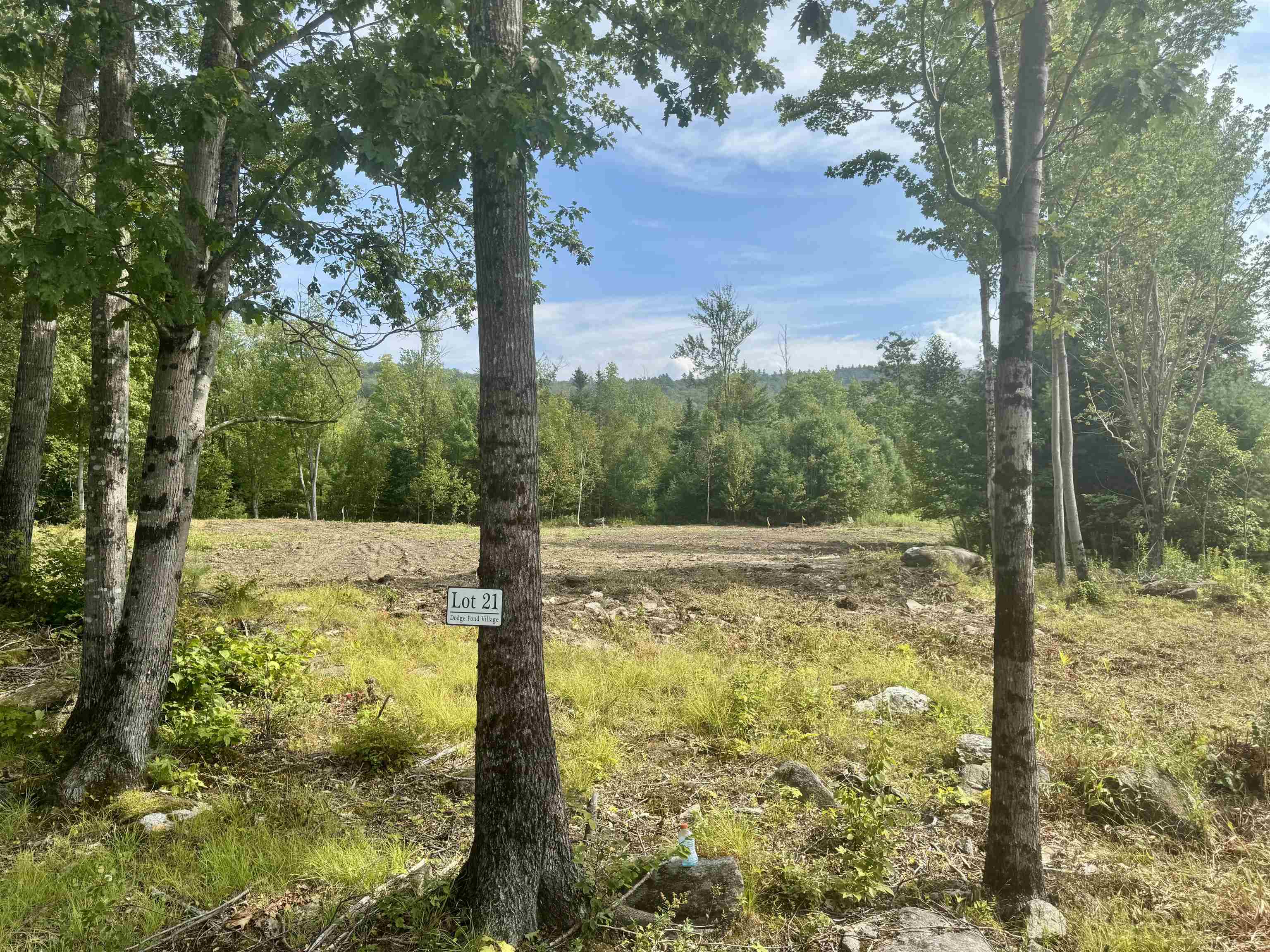 Lot 21 Dodge Pond Lane
