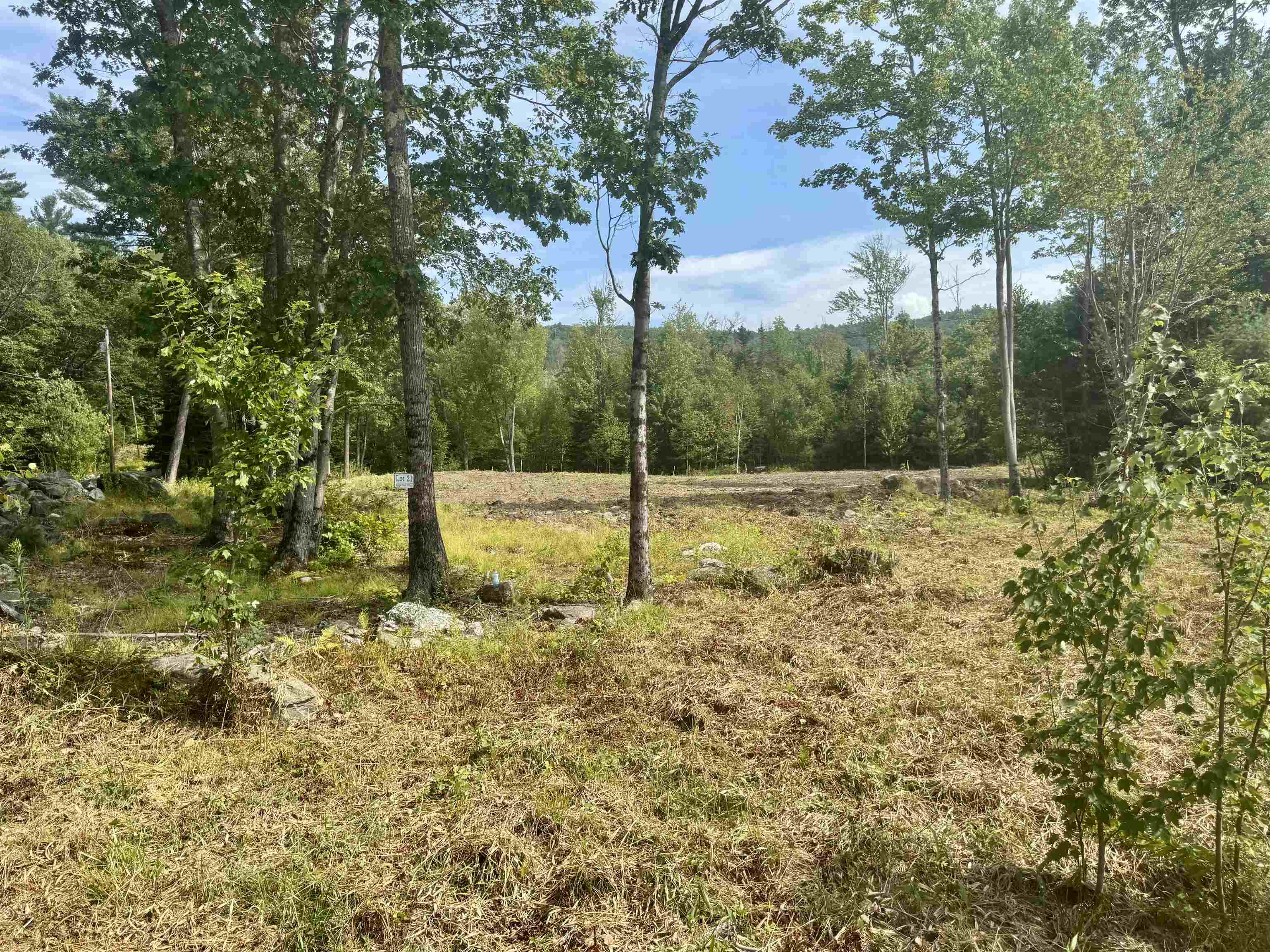 Lot 21 Dodge Pond Lane