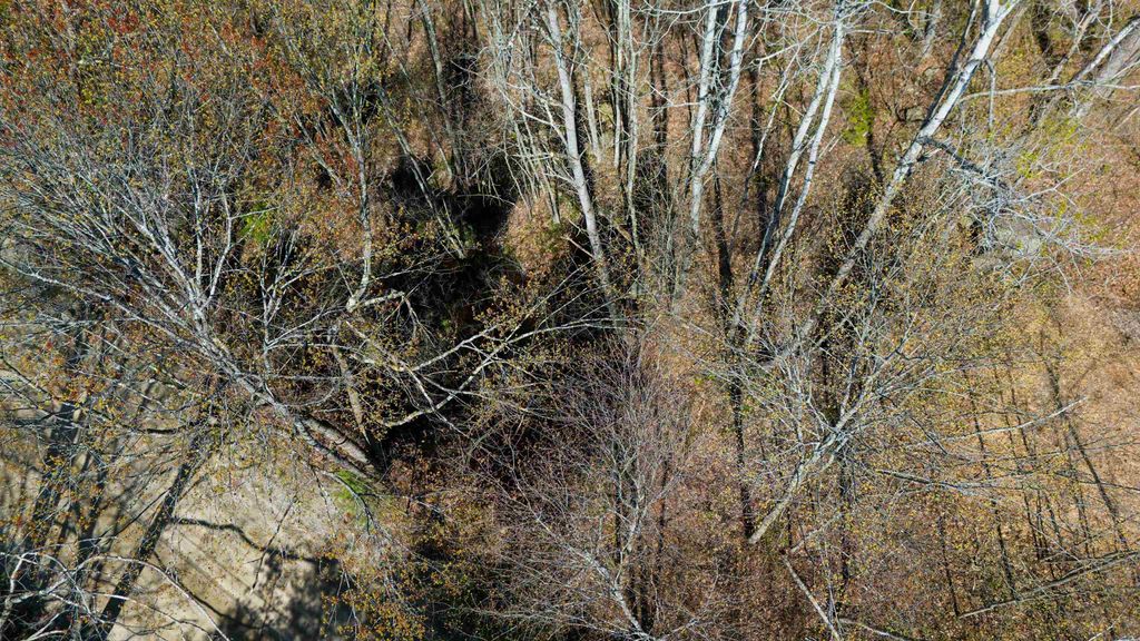 Photo of Moccasin Trail #616, Hillsborough, NH 03244 (MLS # 5090023)