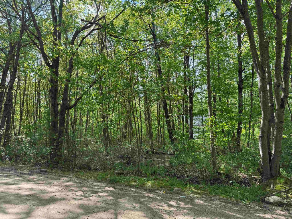 Photo of Moccasin Trail #616, Hillsborough, NH 03244 (MLS # 5090023)
