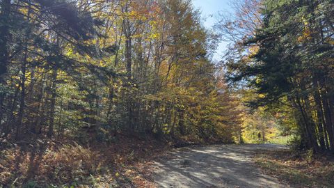 15 Running Sap Lane Dover VT 05356