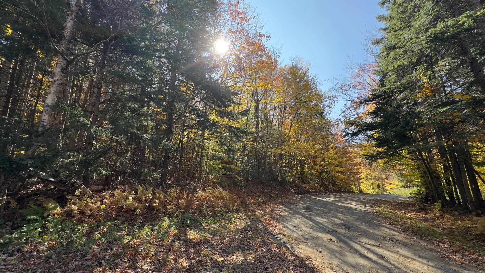 15 Running Sap Lane