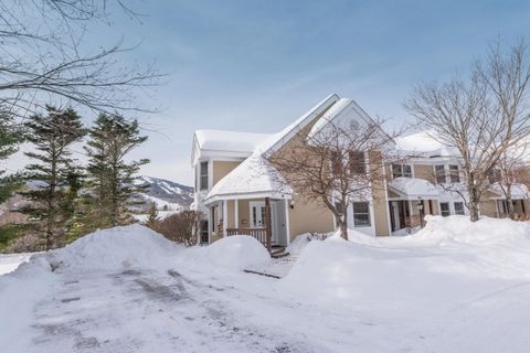 9A Windham Way Dover VT 05356