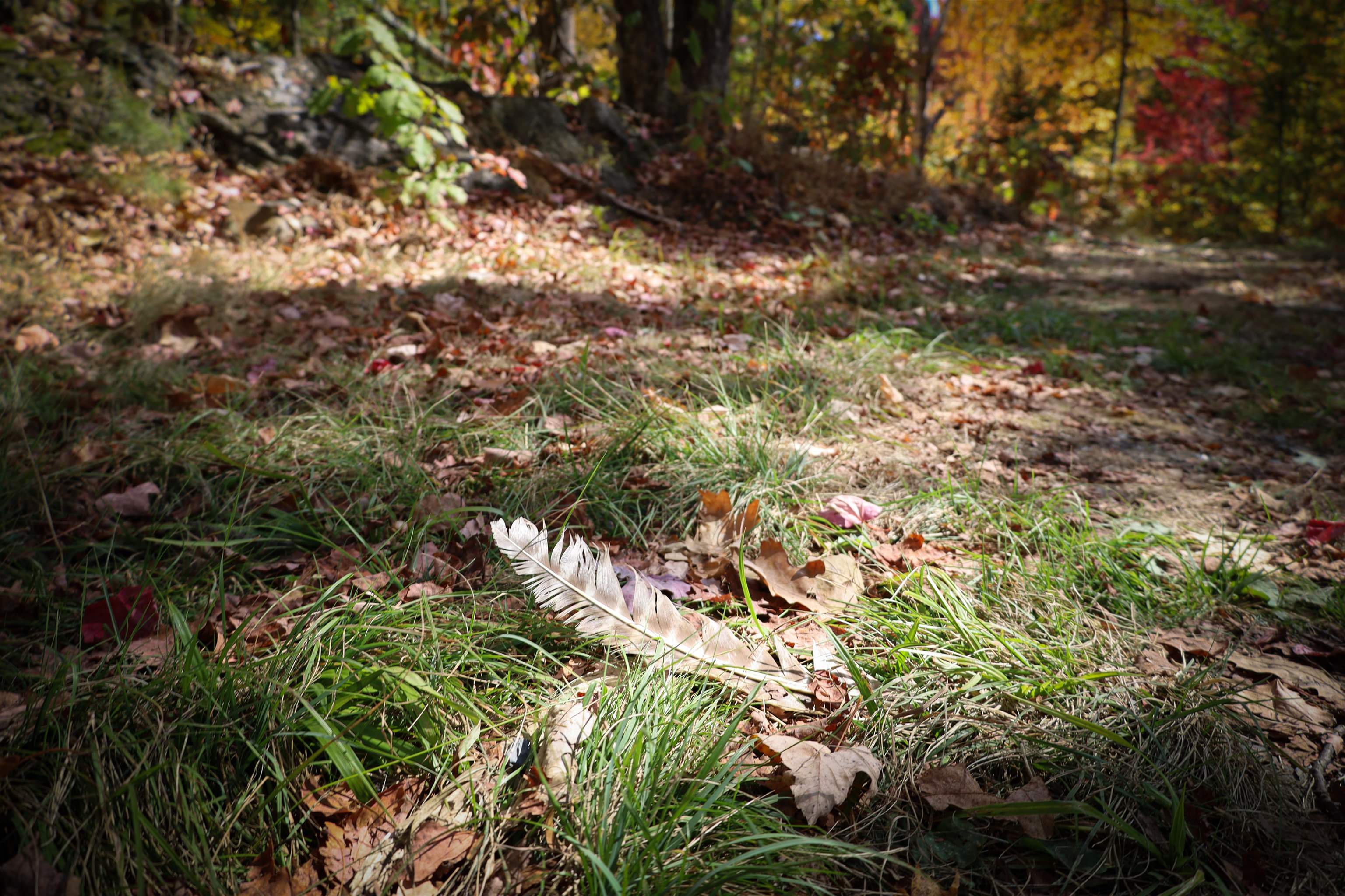 ROW Off Daniels Farm Road