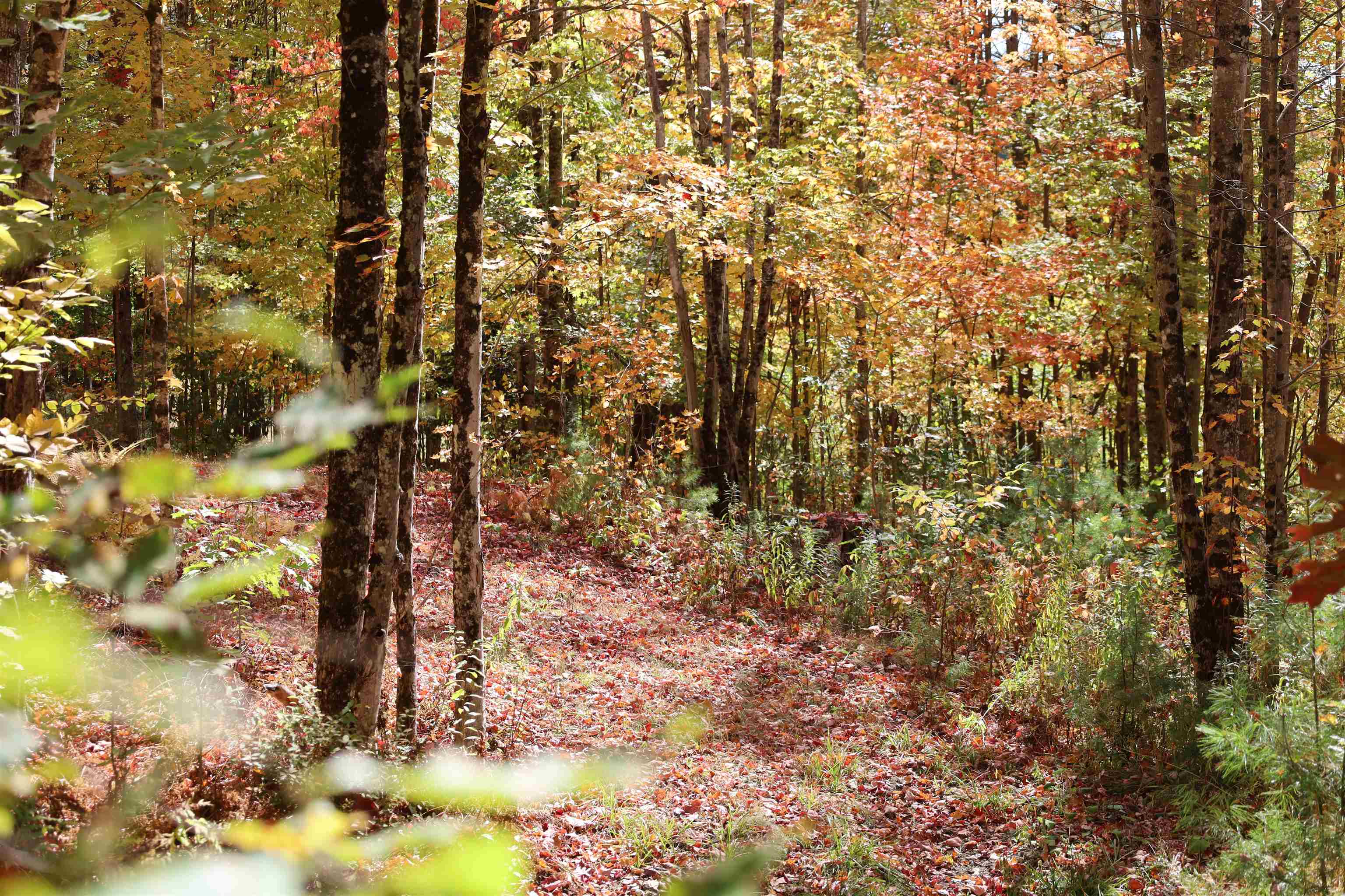 ROW Off Daniels Farm Road