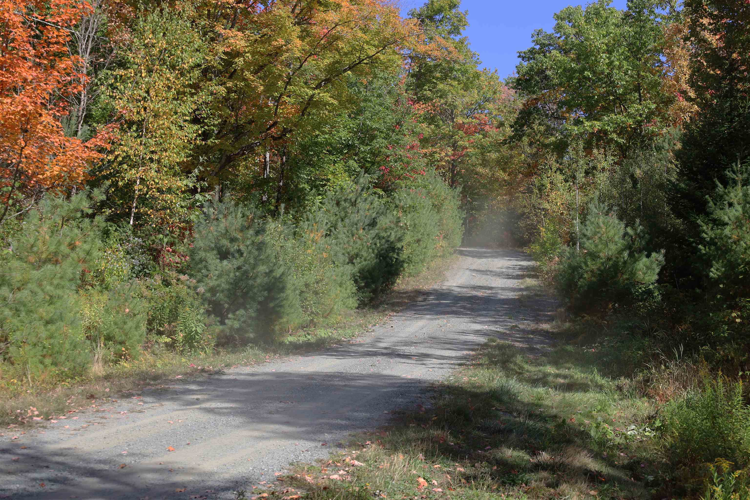 ROW Off Daniels Farm Road