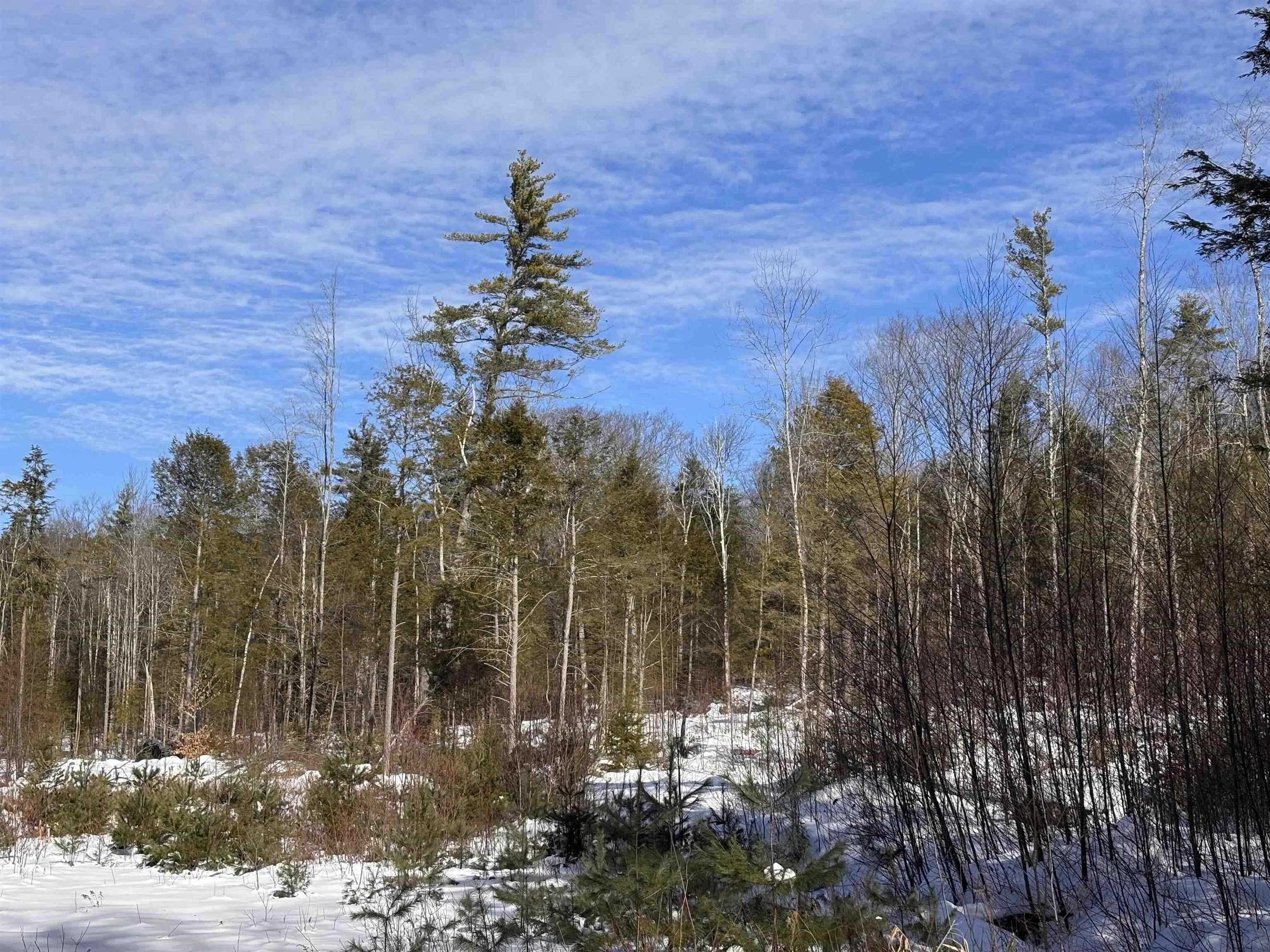 M409 L66-2 Old Turnpike Road