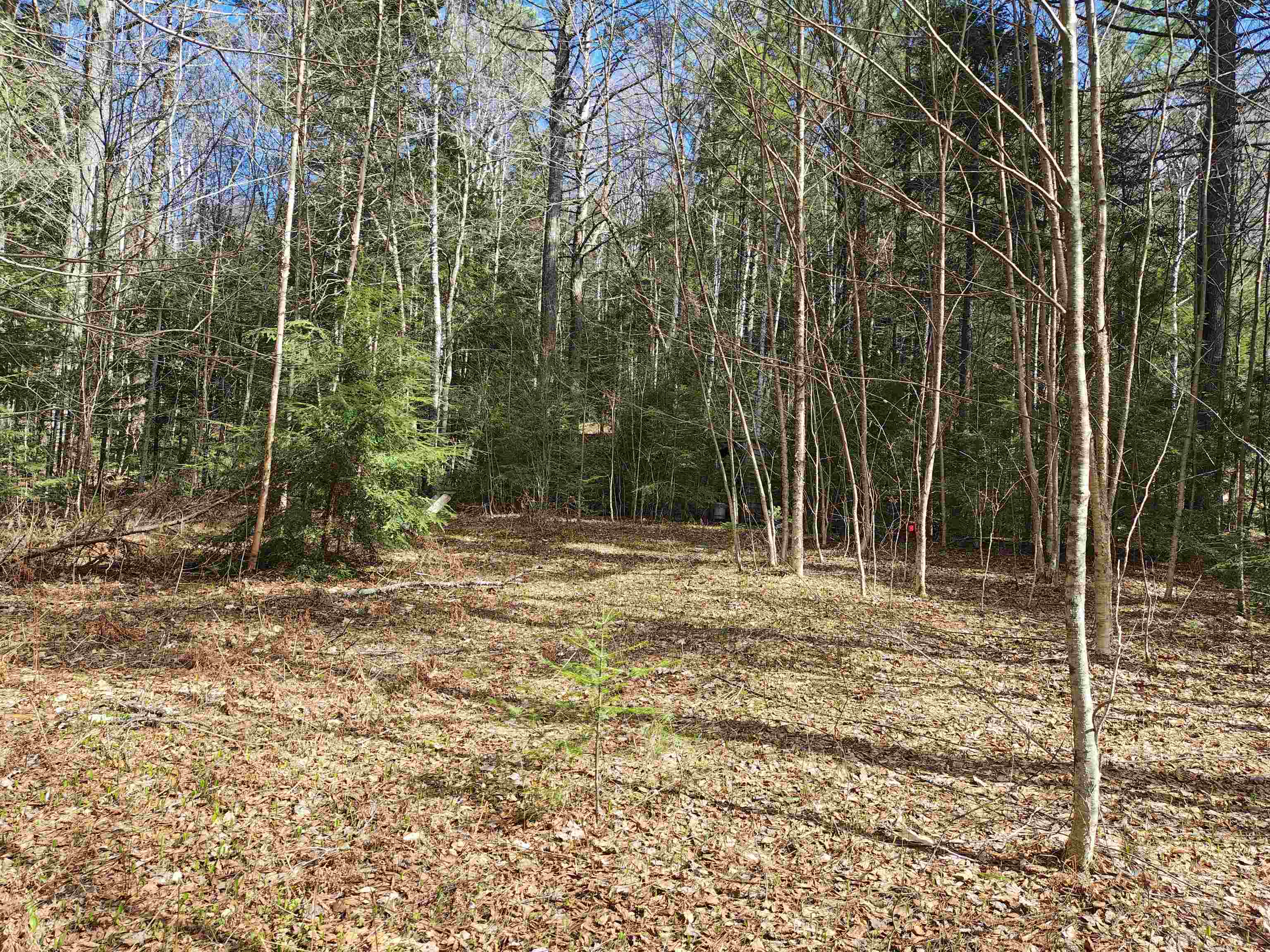 184 Brock Hill Road