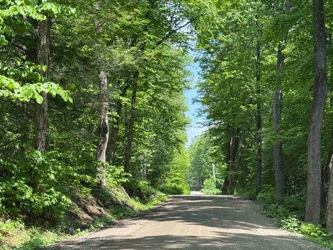 251 Phillips Hill Road Halifax VT 05358