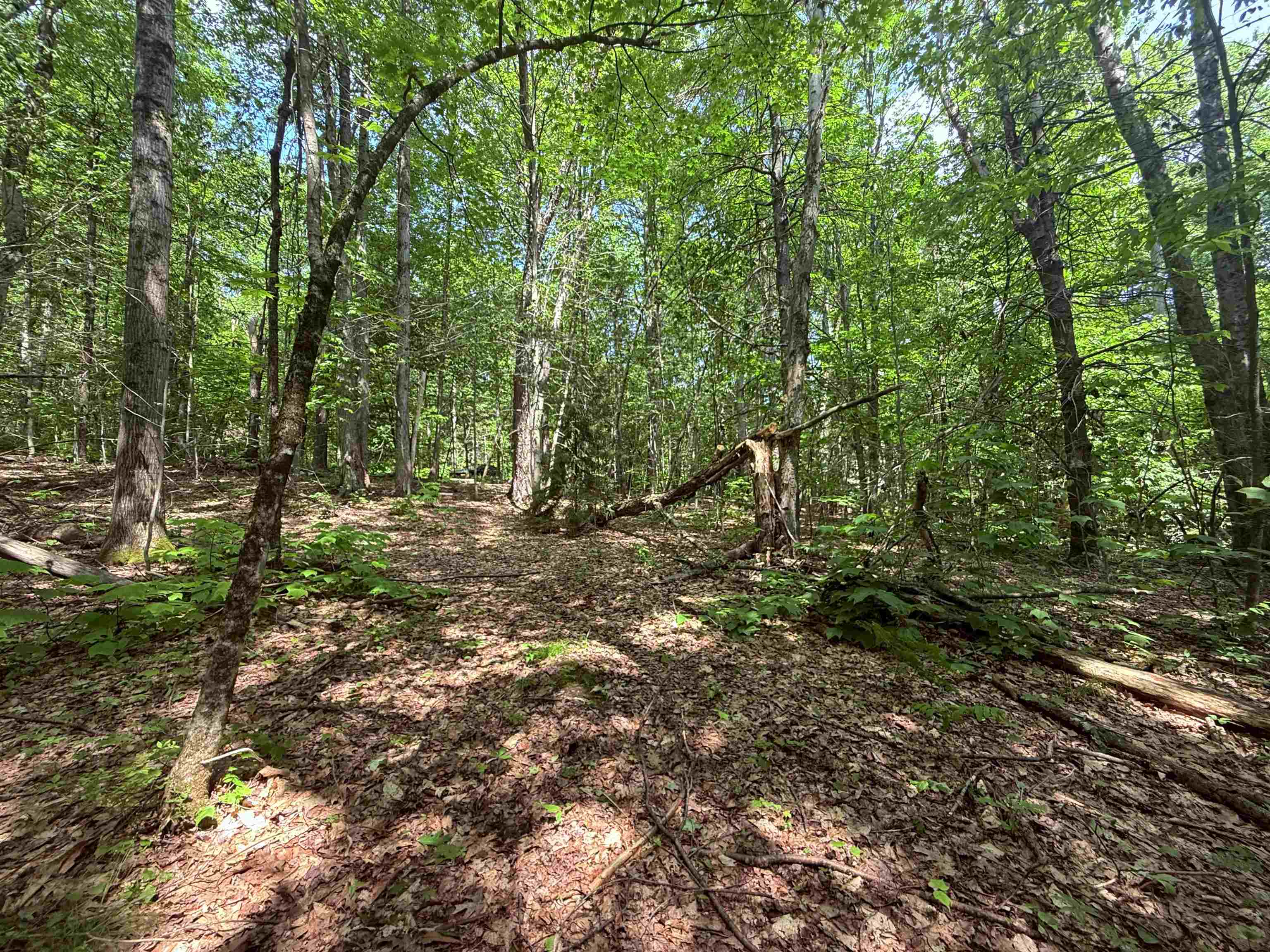 251 Phillips Hill Road