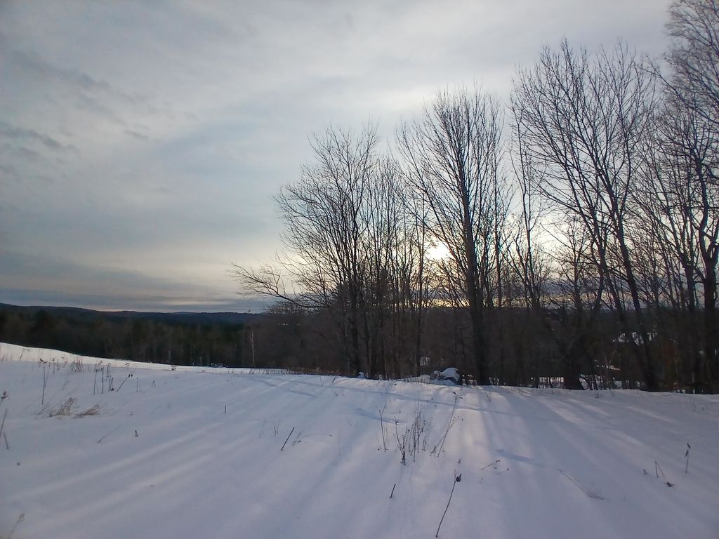 Photo of 301 Hardy Hill Road, Grafton, NH 03240 (MLS # 5077207)