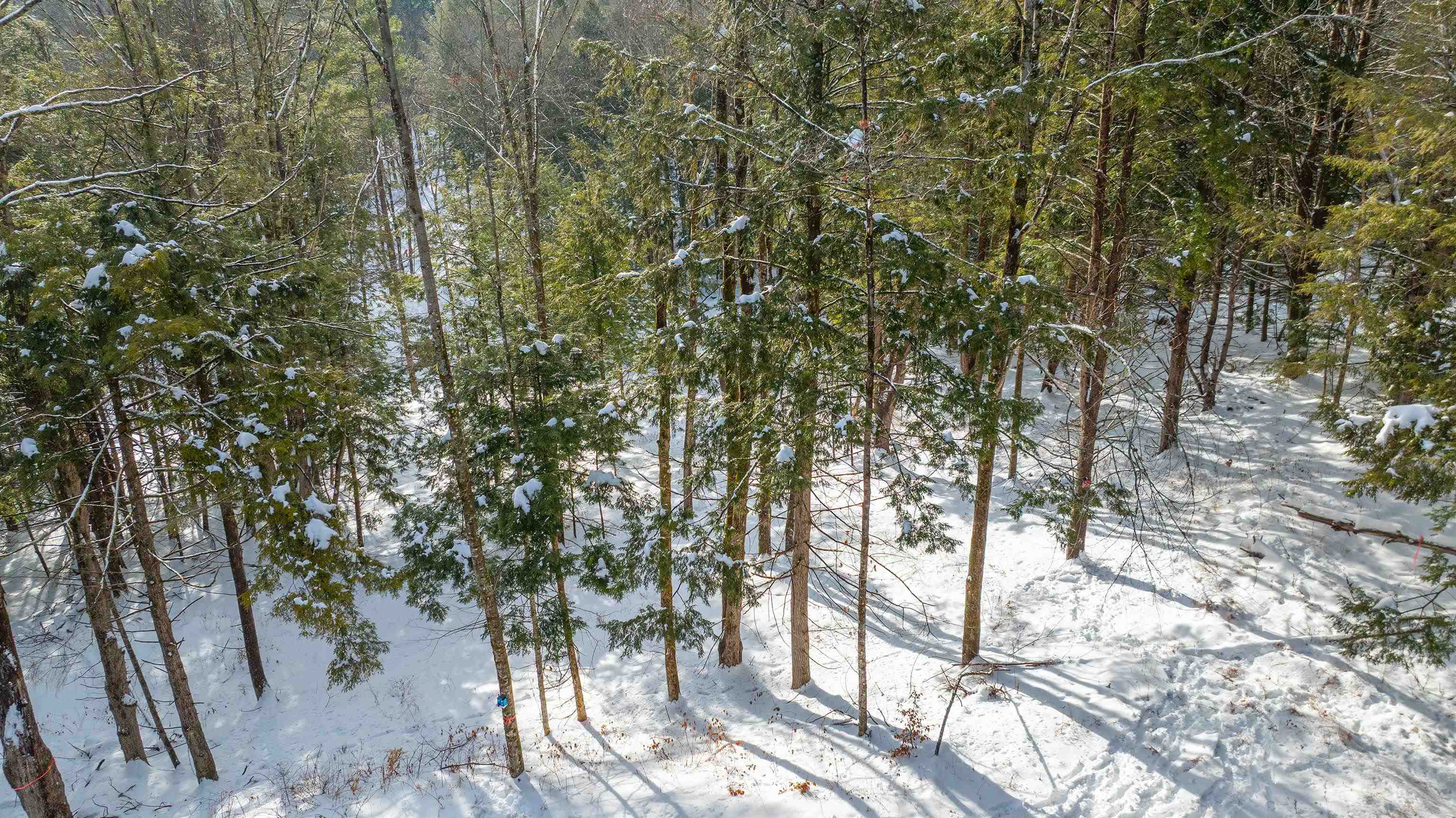 0 Fay Lane 7226 and 7227