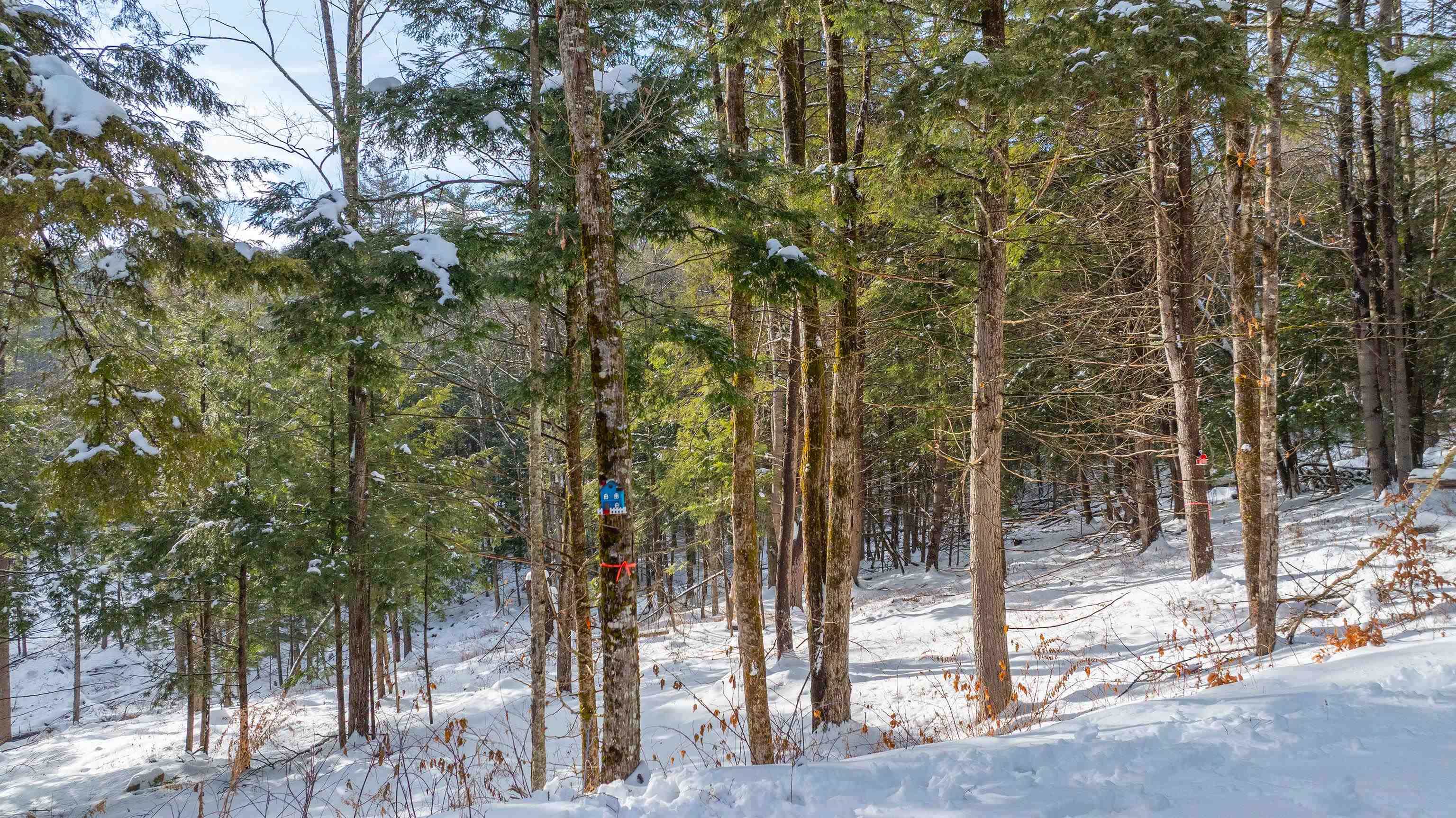 0 Fay Lane 7226 and 7227