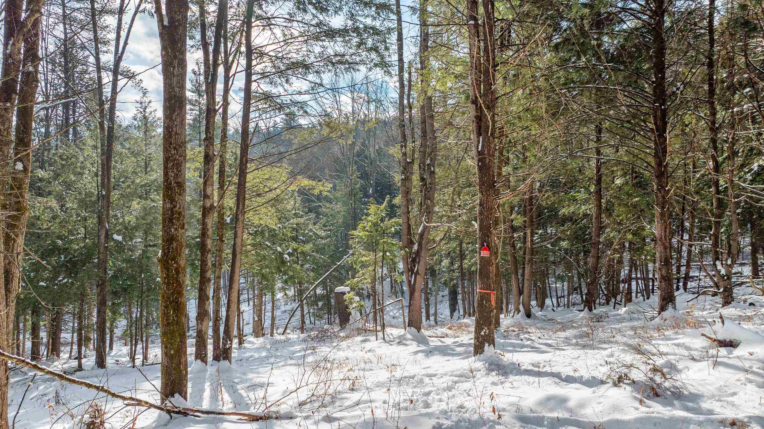 0 Fay Lane 7226 and 7227