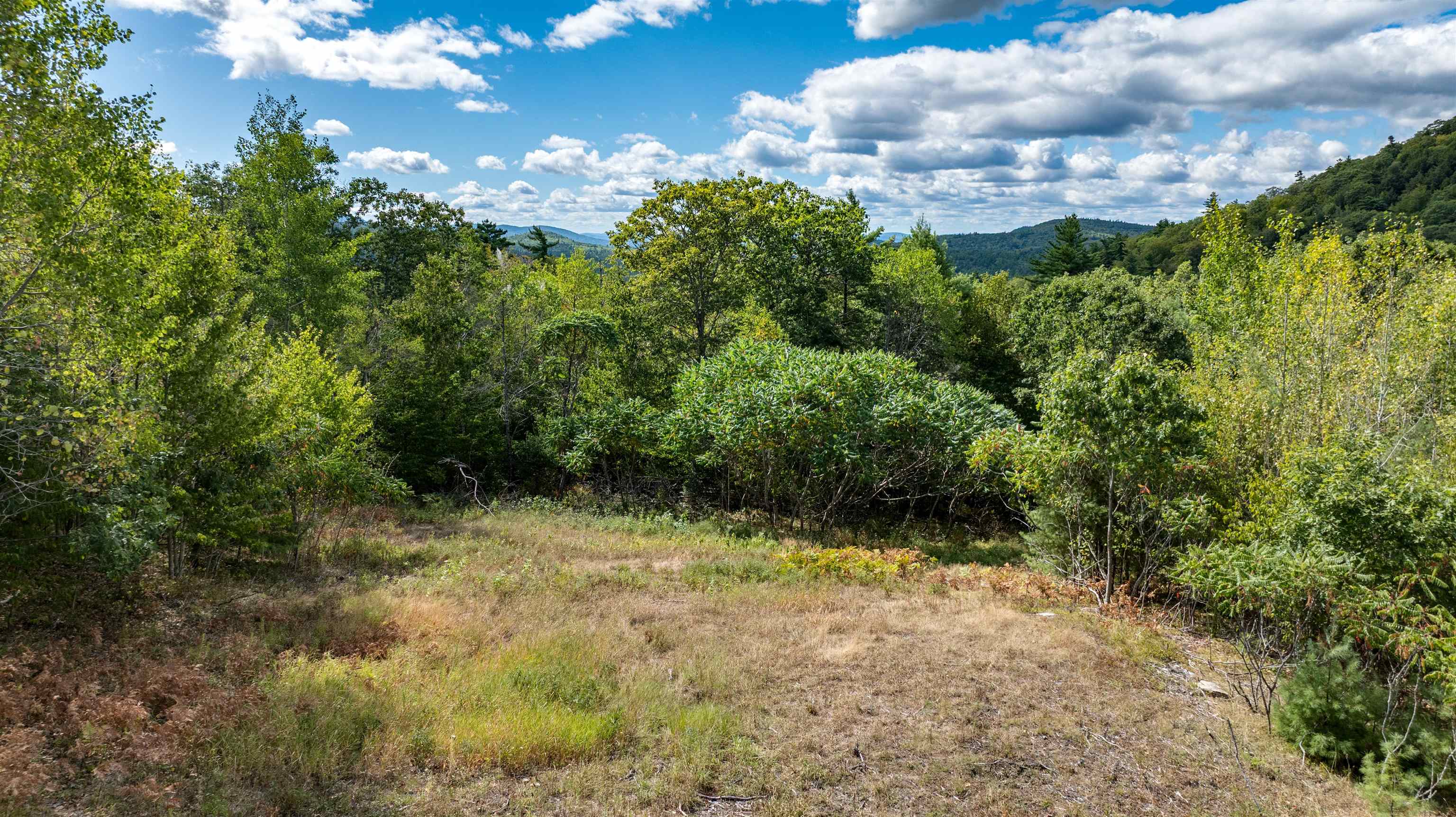 Lot 3 Youngs Road Lot 3