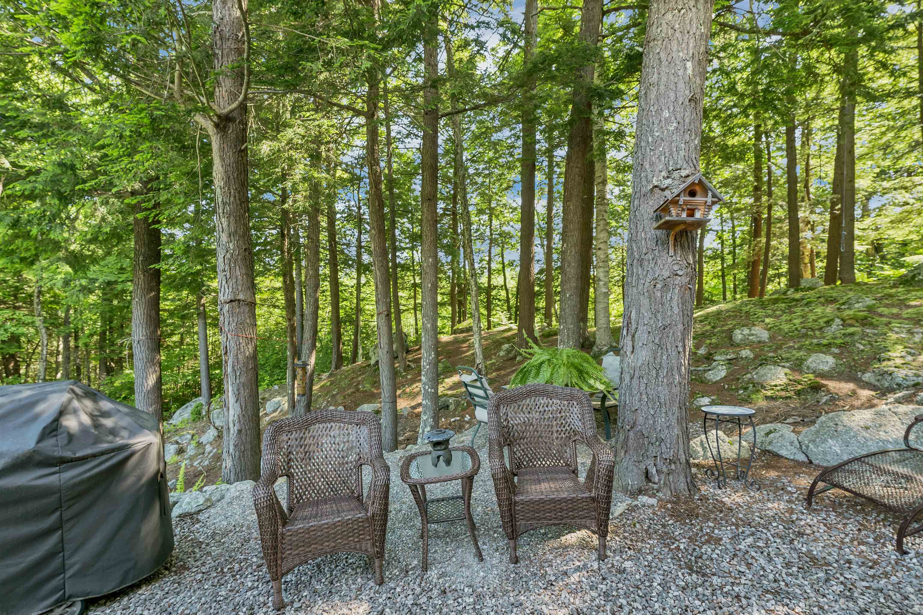 Meredith, New Hampshire 03253, United States, 3 Bedrooms Bedrooms, ,3 BathroomsBathrooms,Residential,Active,160023