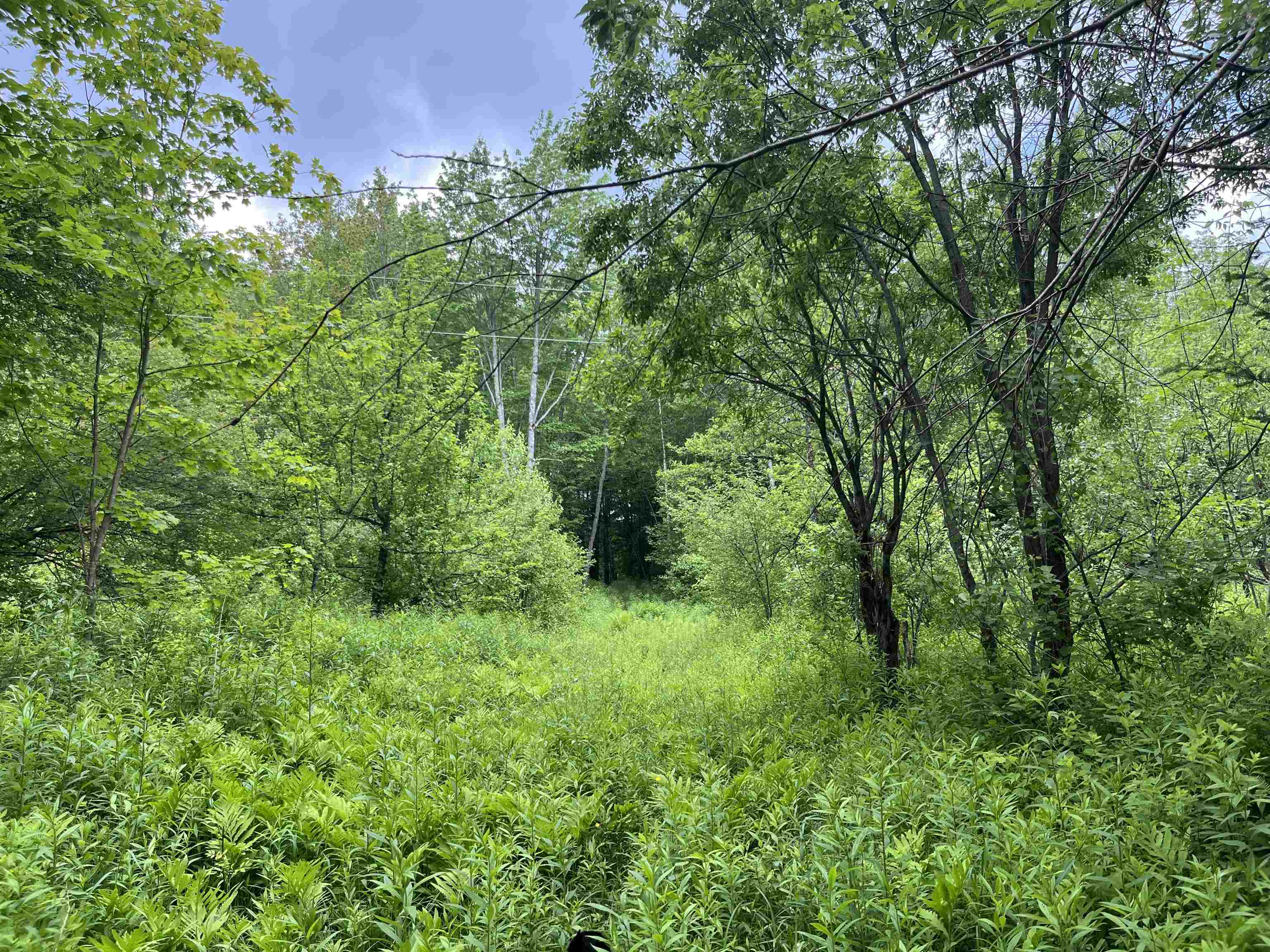 00 Guyette Road