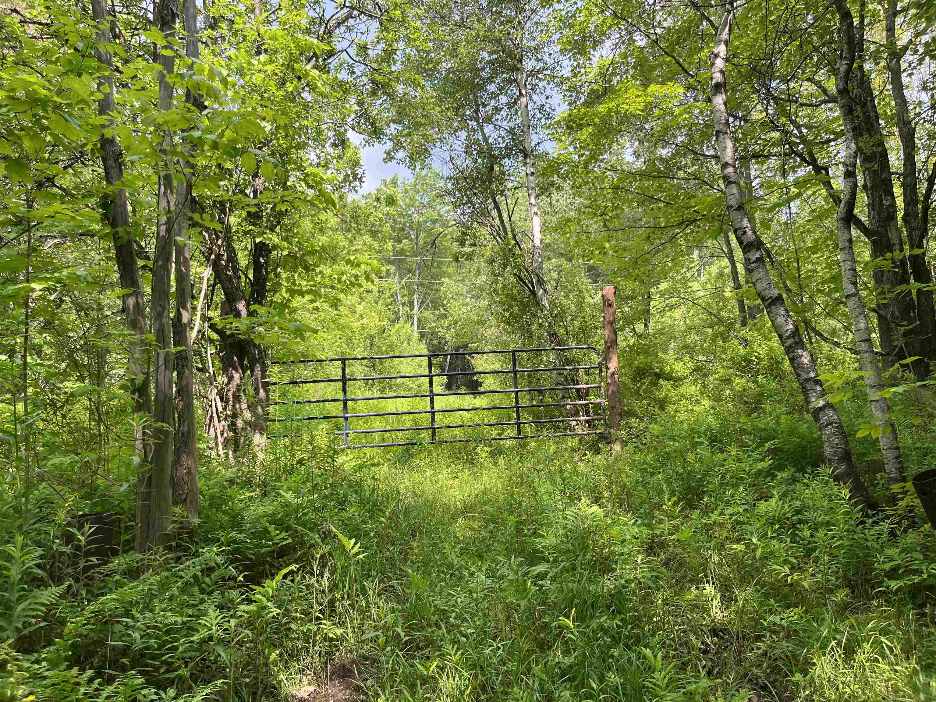00 Guyette Road