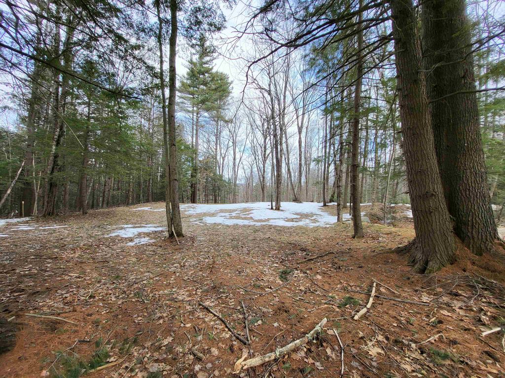 Photo of 890 Washburn Road, Alexandria, NH 03222 (MLS # 5081648)