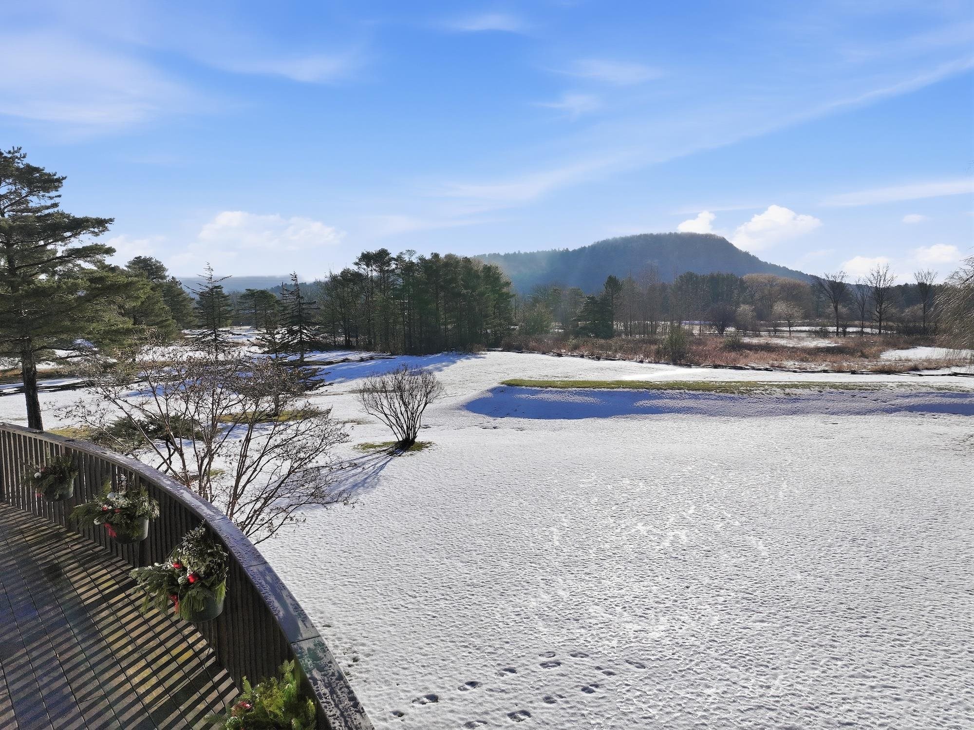 145 Cannon Point Road