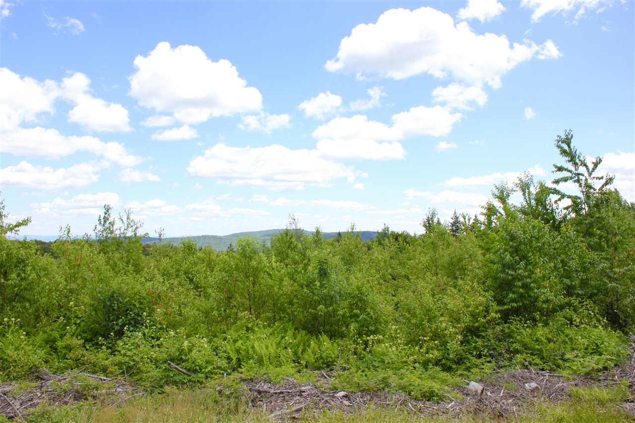 Valley View Drive 8