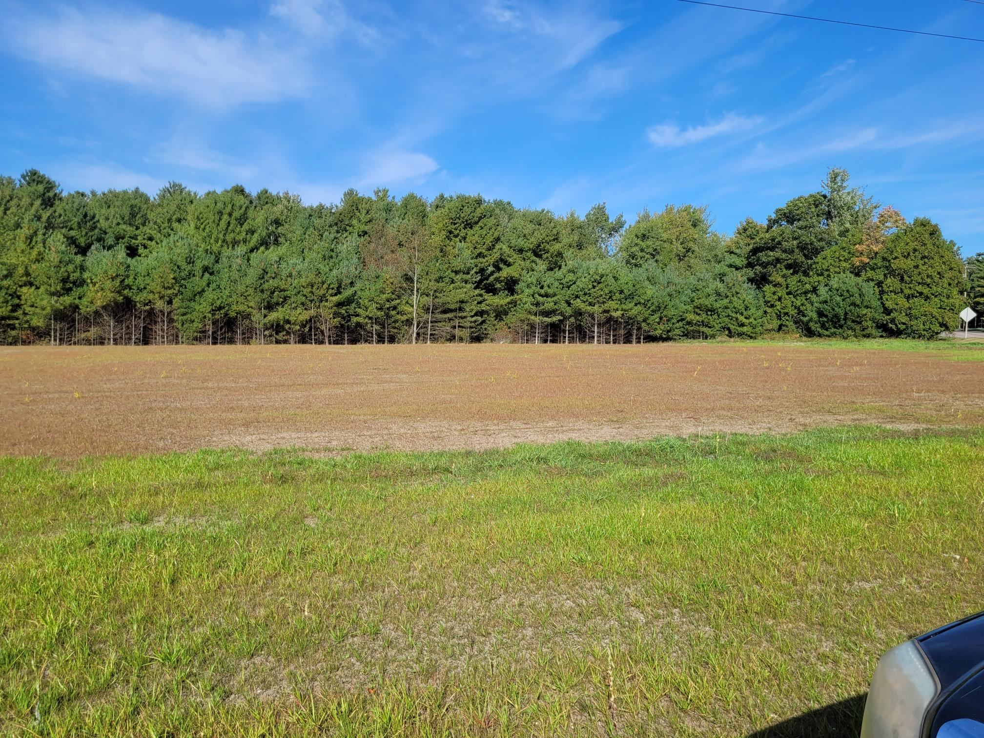 Milton, Vermont 05468, United States, ,Land,Active,42402