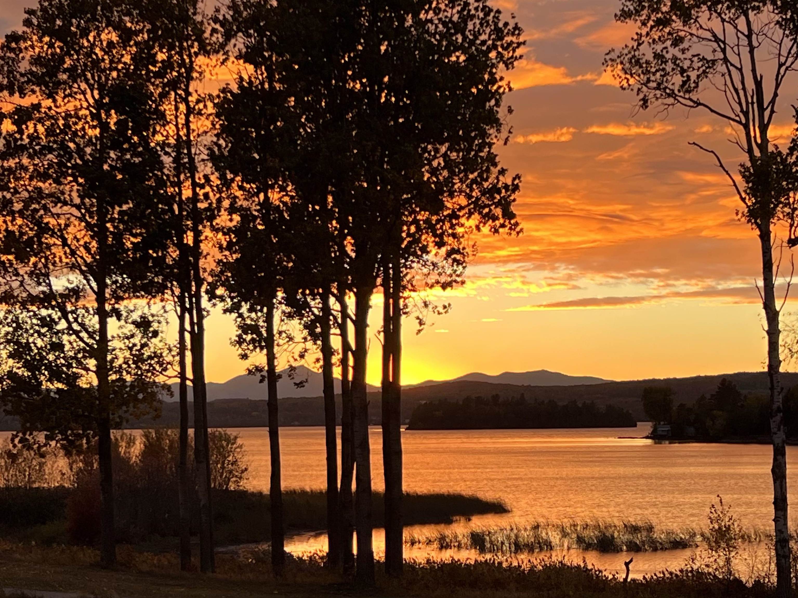 161 Johns River Drive