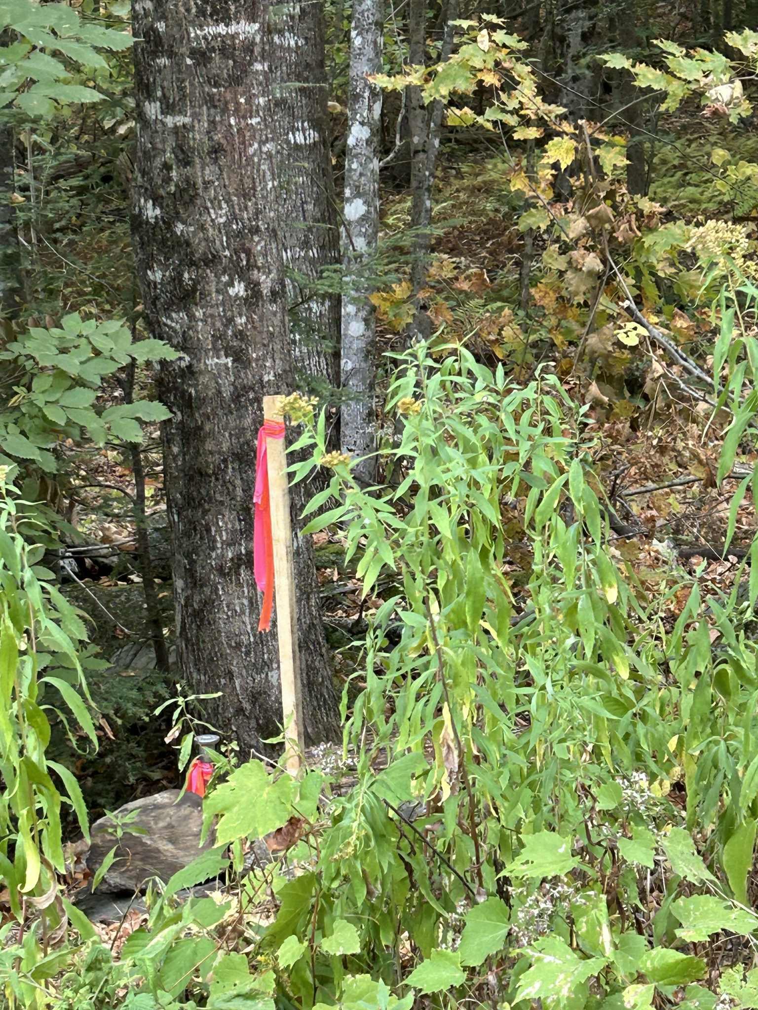 0 Crane Mt Road Lot # 2