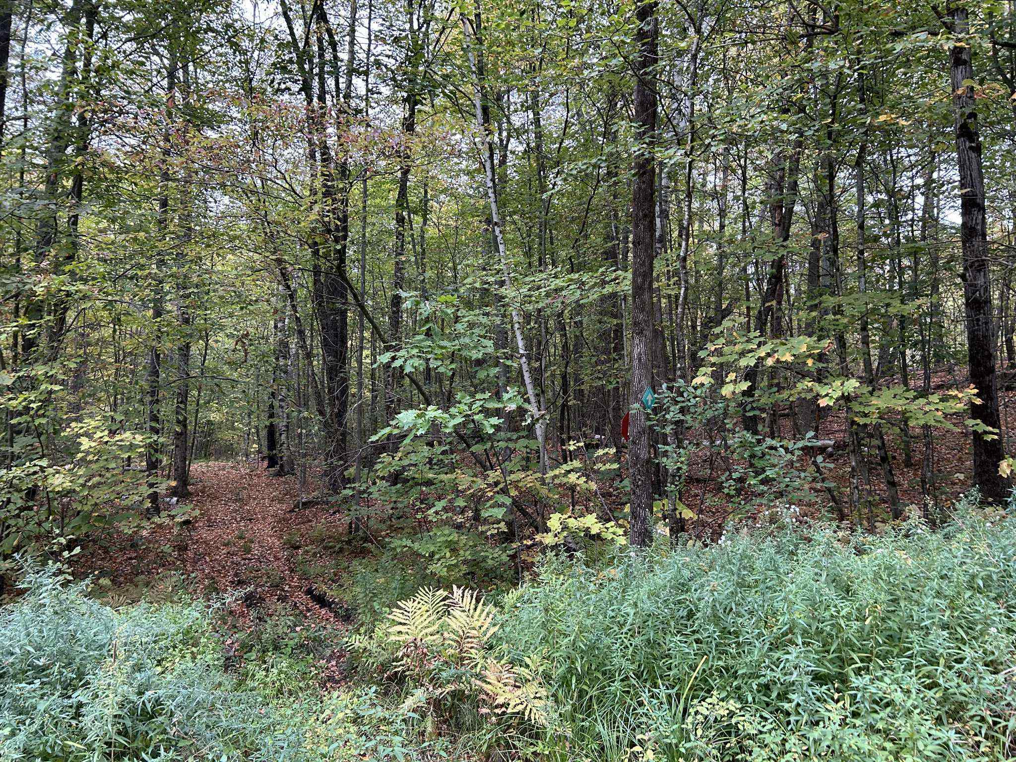 0 Crane Mt Road Lot # 2