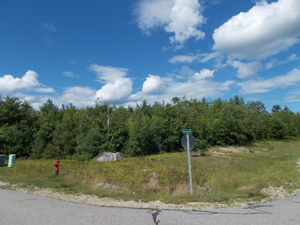 Photo of 00 Grandview Road #Lot 98 on tree, Map, Conway, NH 03818 (MLS # 5084760)