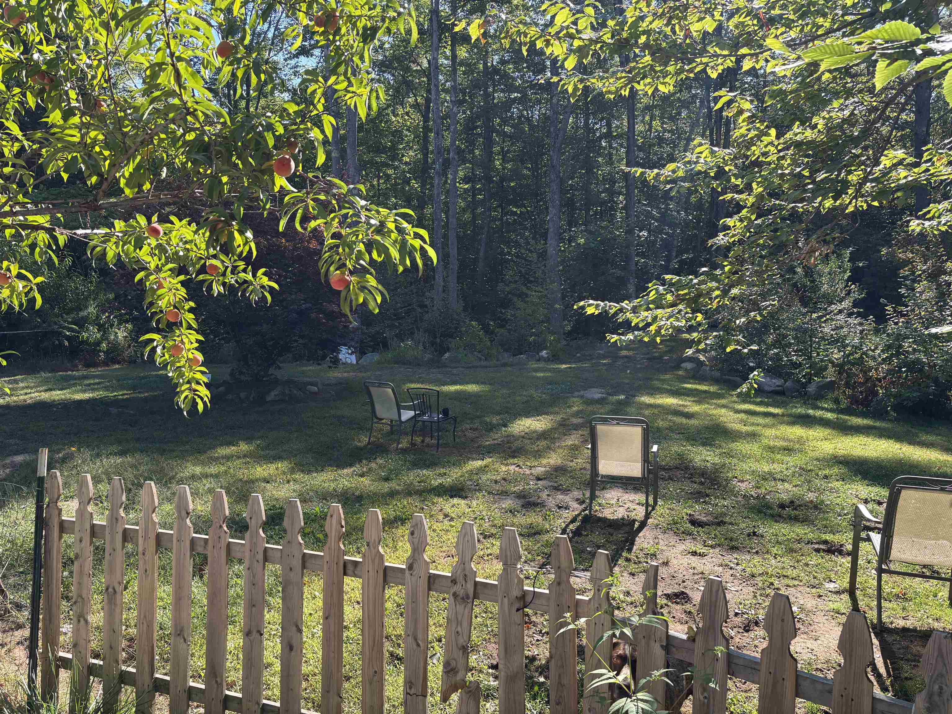 368 Ballards Ridge Road