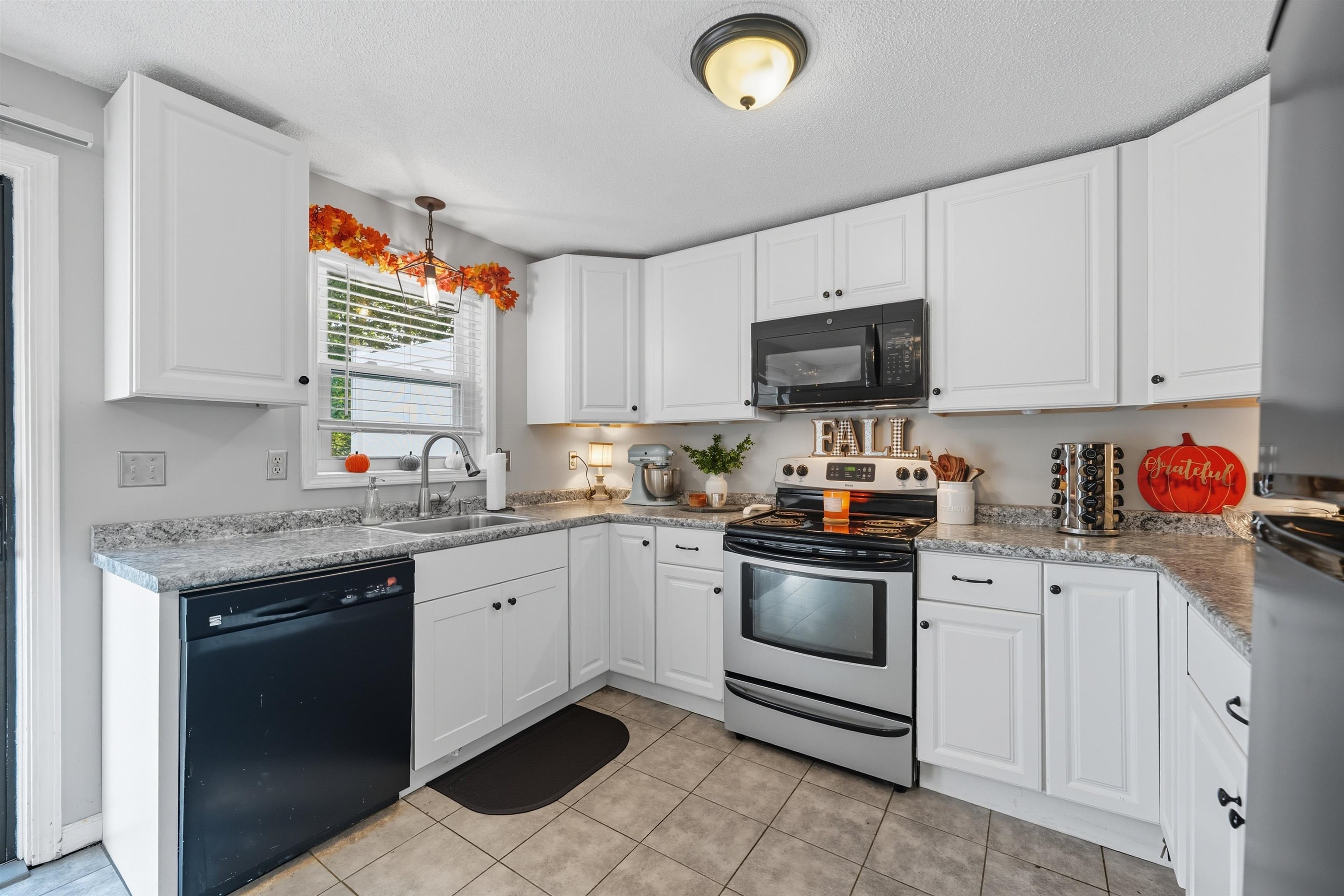 1035 S Mammoth Road 6