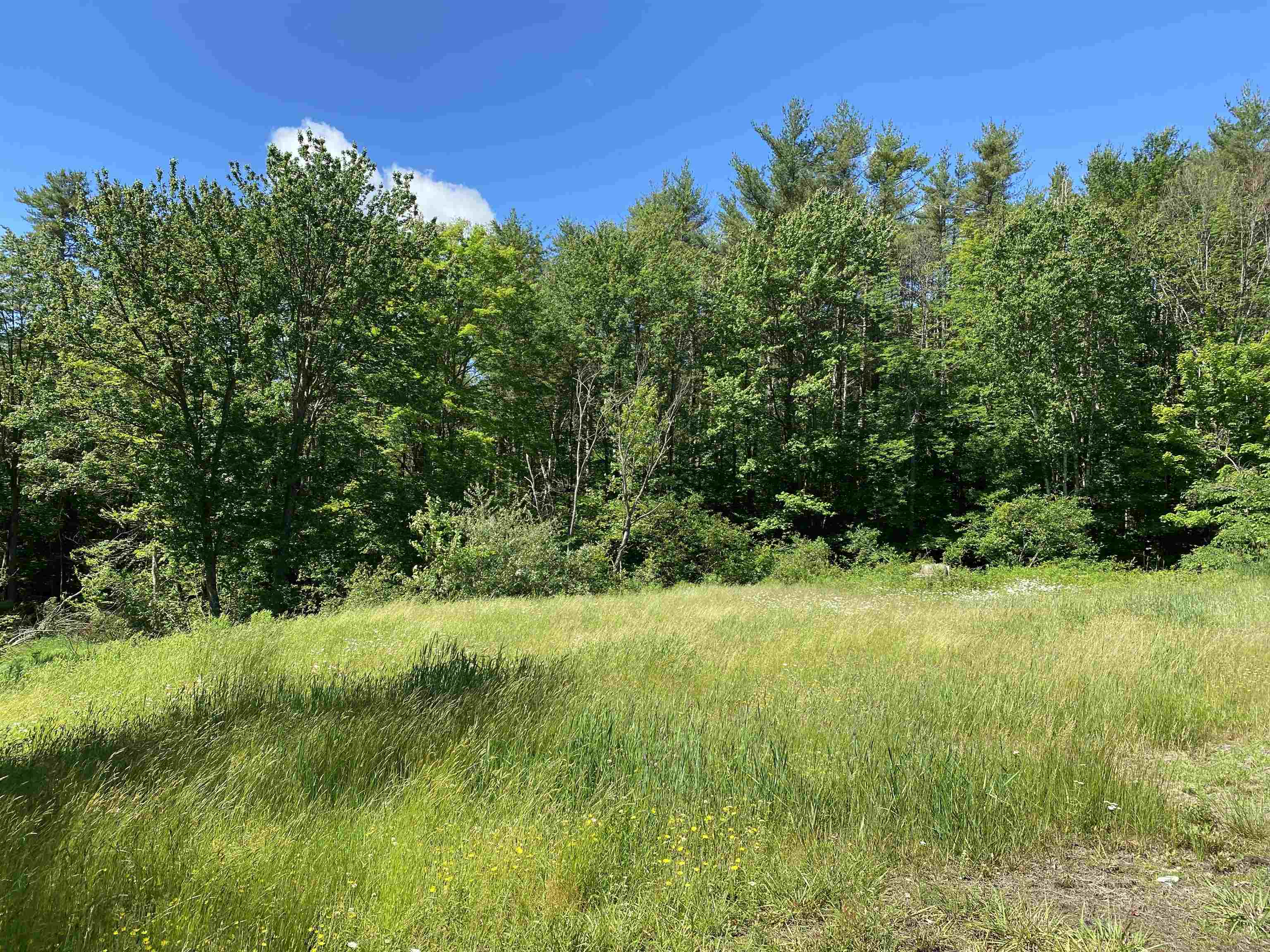 18 Catamount Road