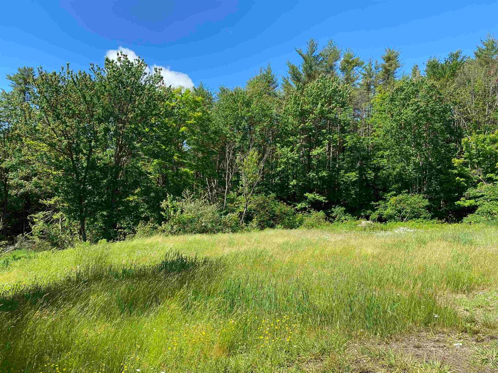 Photo of 18 Catamount Road, Pittsfield, NH 03263 (MLS # 5032548)