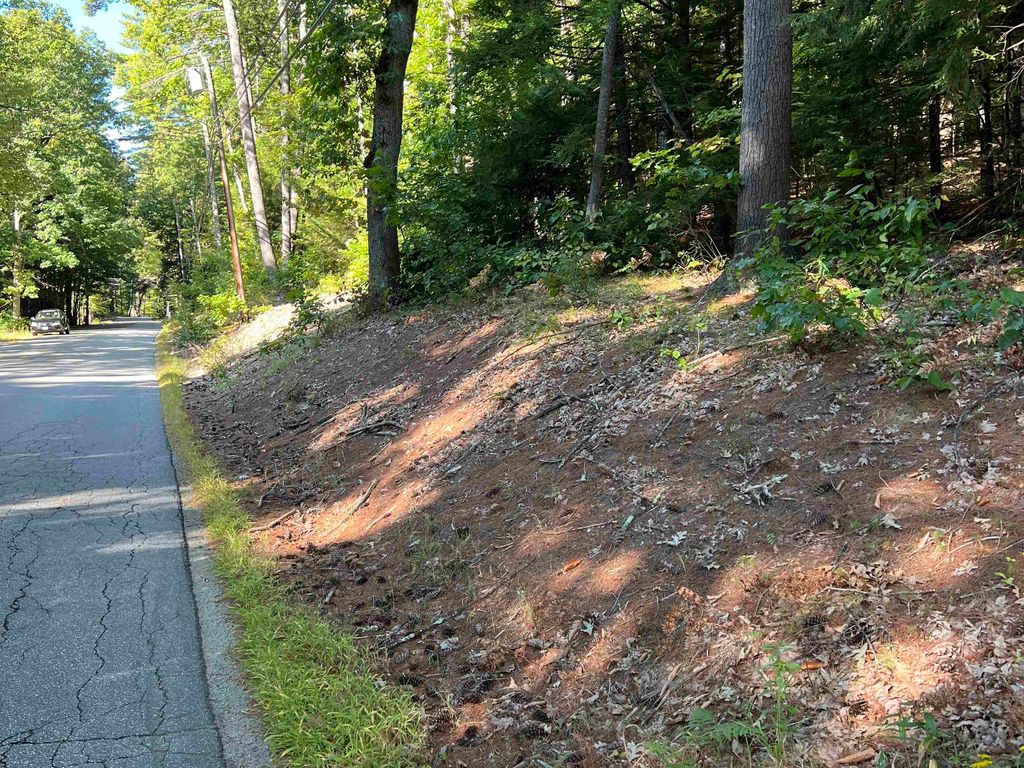 Photo of Pine Street, Hopkinton, NH 03229 (MLS # 5061613)